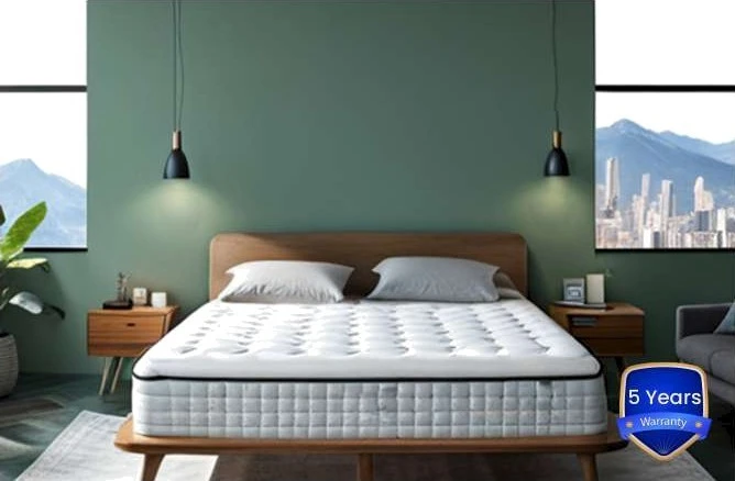 Ortho Expert Product